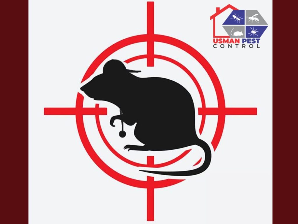 Rodent Pest Control Services in lahore