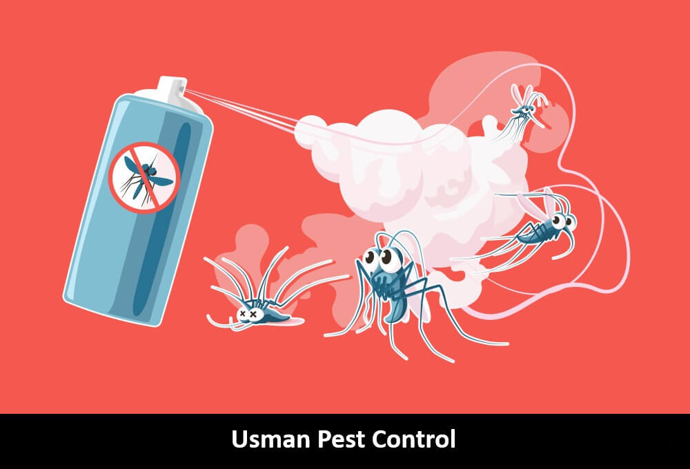 Mosquito spray serrvices and Treatment