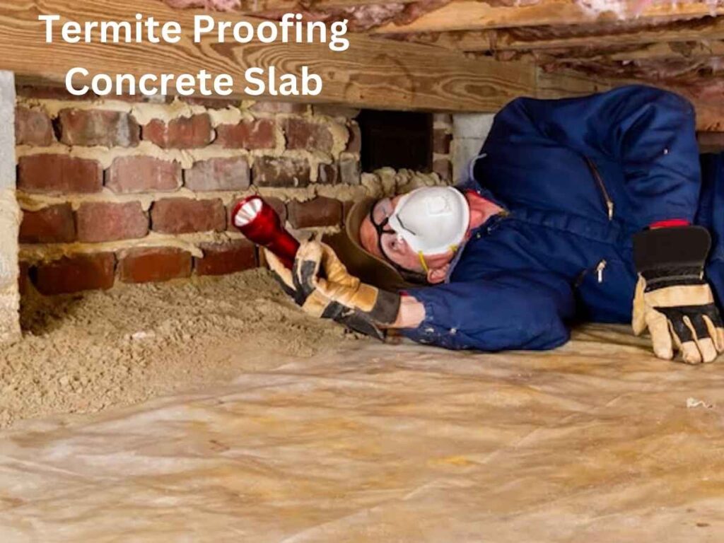 Termite Proofing Concrete Slab