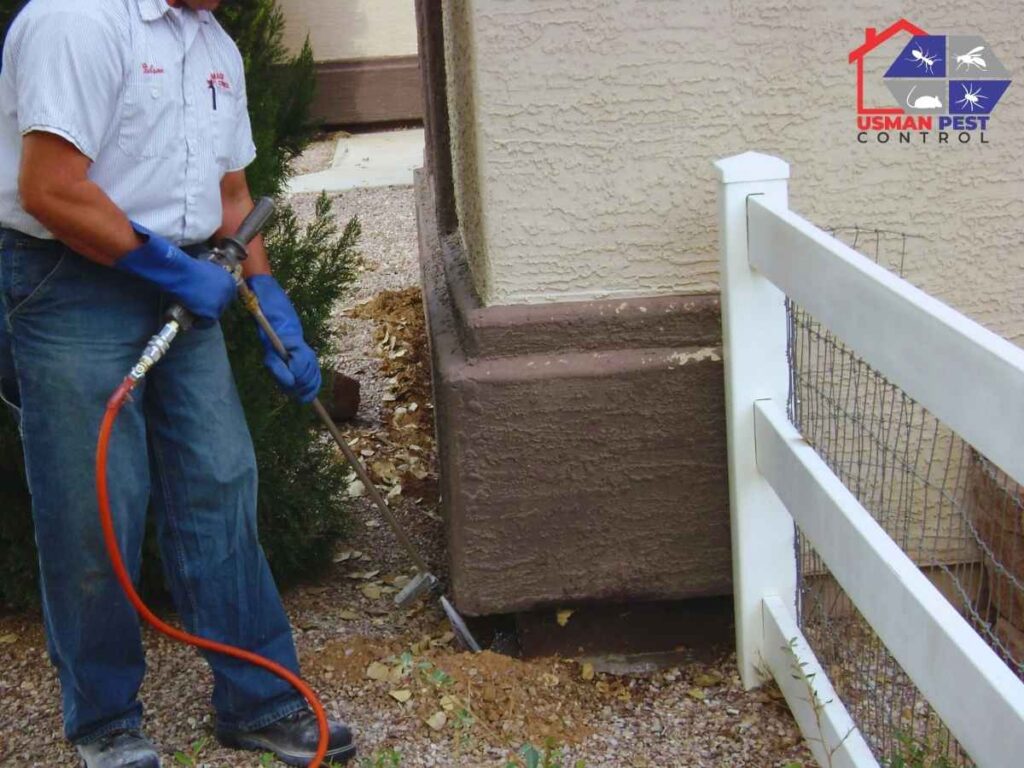 Termite Proofing in Construction