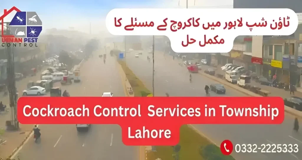 cockroach-control-services-in-Township-Lahore