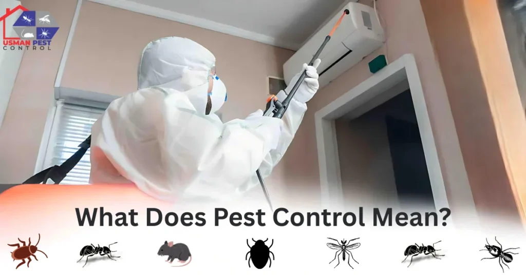 pest control services