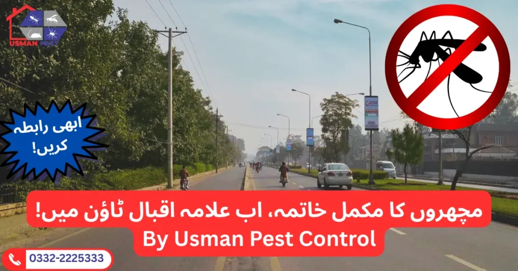 Best mosquito control services in Allama Iqbal Town Lahore