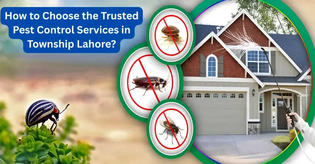 Pest Control Services in Township Lahore