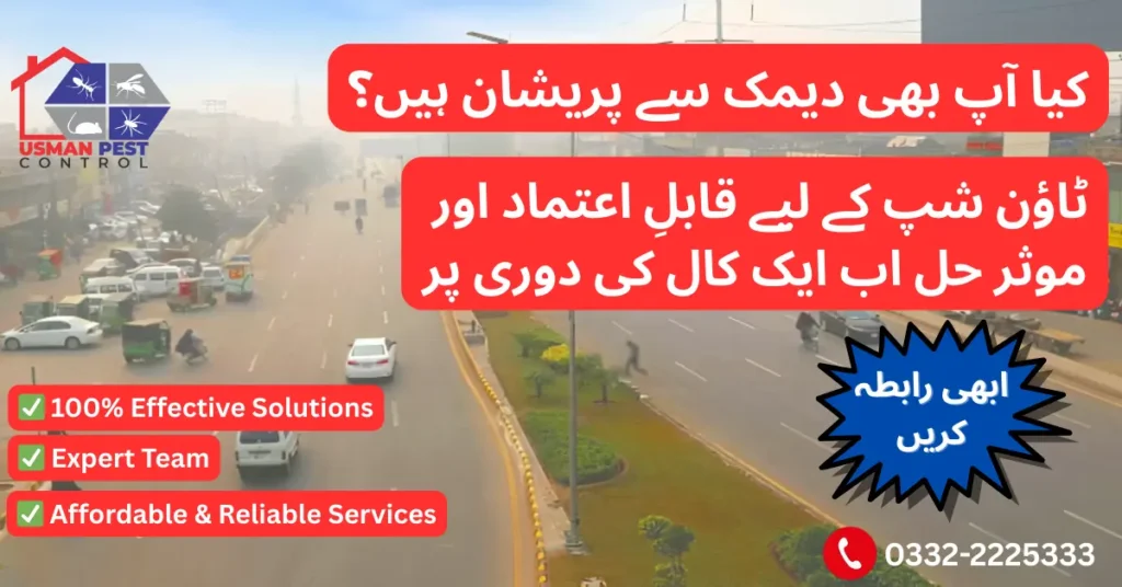 Termite and Deemak Control Services in Township Lahore