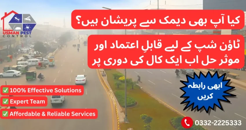 Termite and Deemak Control Services in Township Lahore