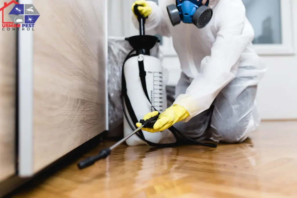 Protect your home today with expert Termite control services in Wapda Town Lahore – reliable, fast, and long-lasting results!