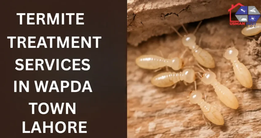 Eliminate termites fast with expert Termite Treatment Services in Wapda Town Lahore – safe, affordable, and guaranteed results!