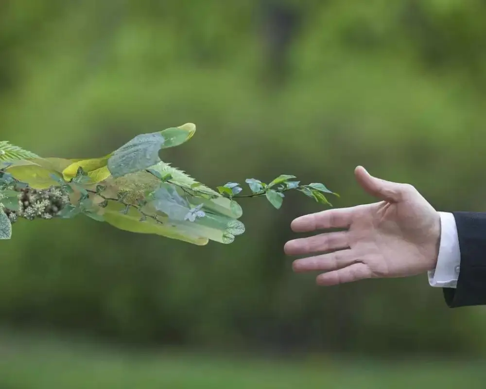 Assurance to Distinction