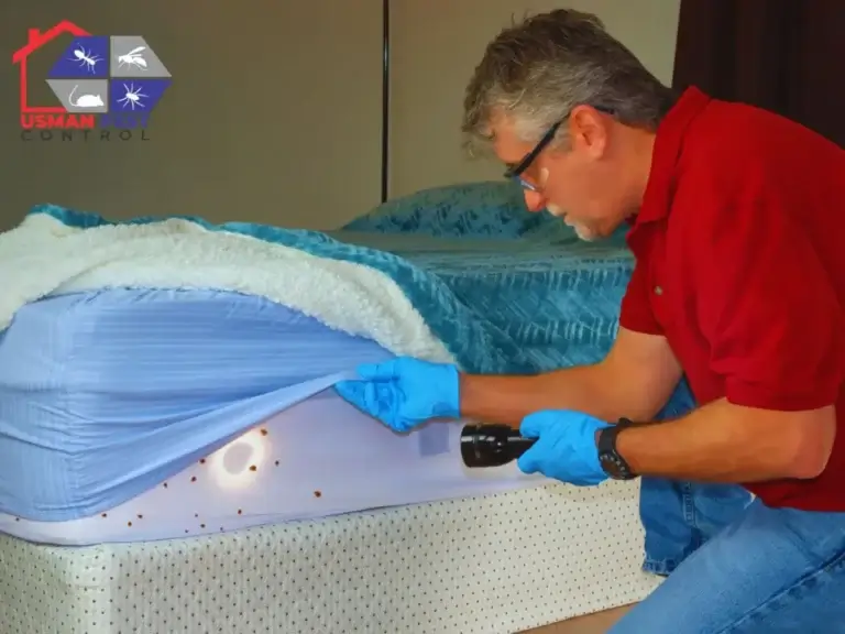 Bed Bug Exterminator in Lahore