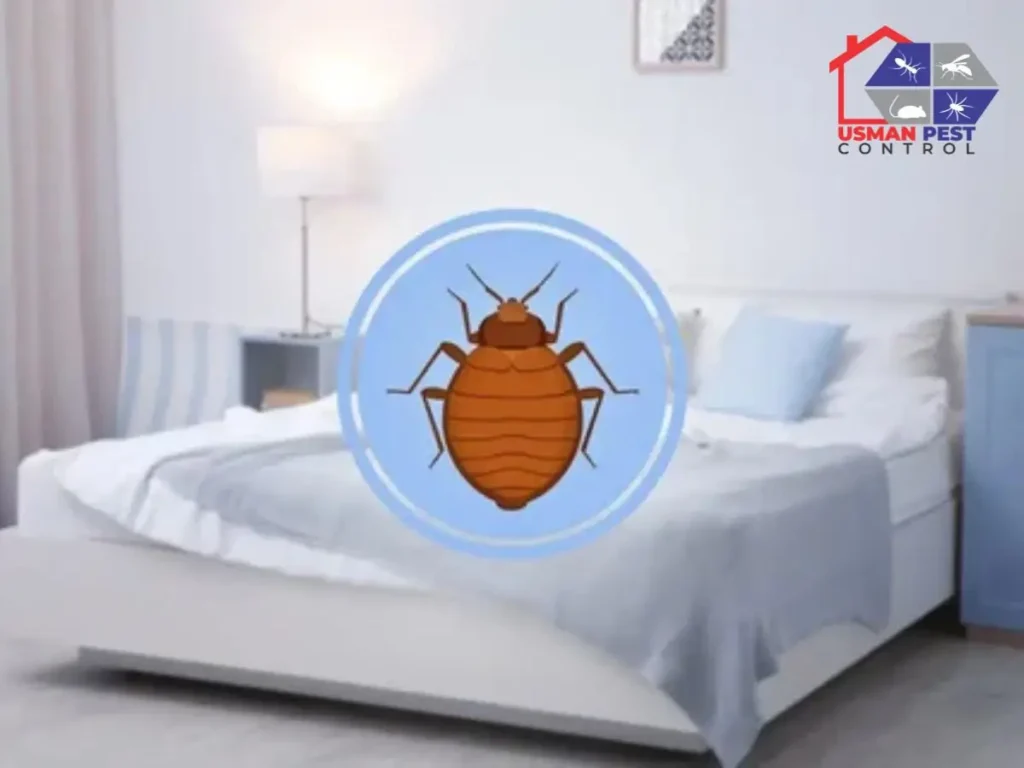 Bed Bug Treatment in Lahore