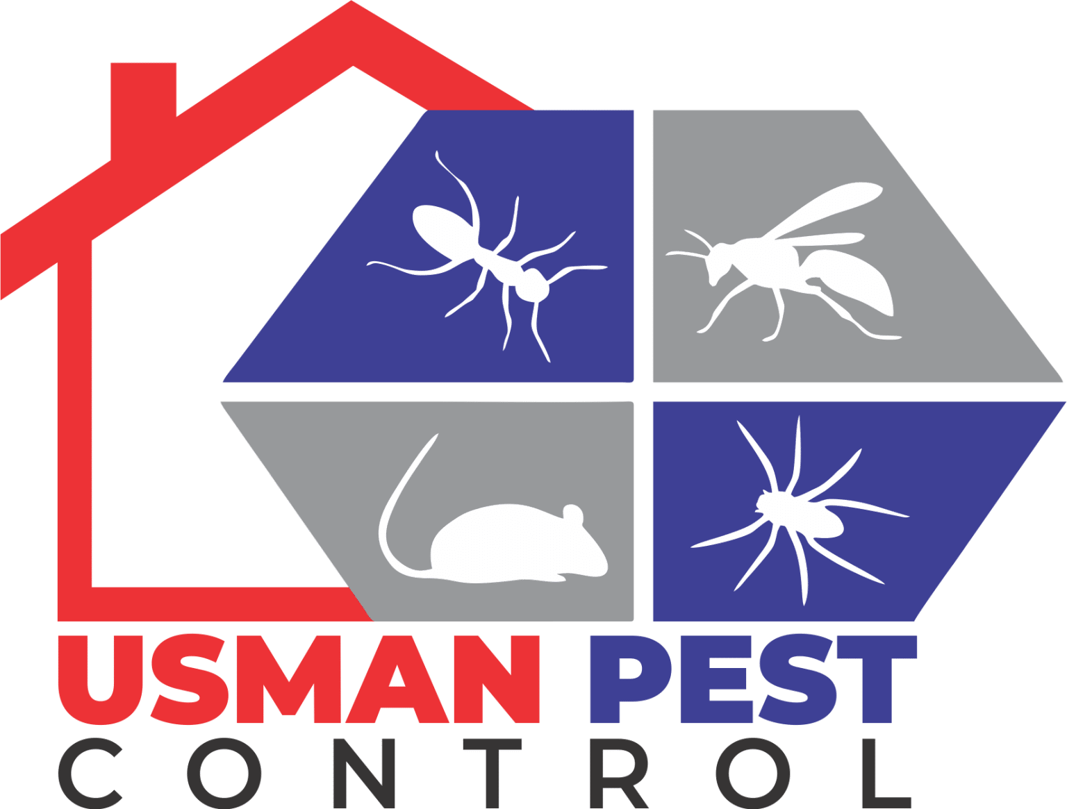 Best pest control company in lahore - Usman