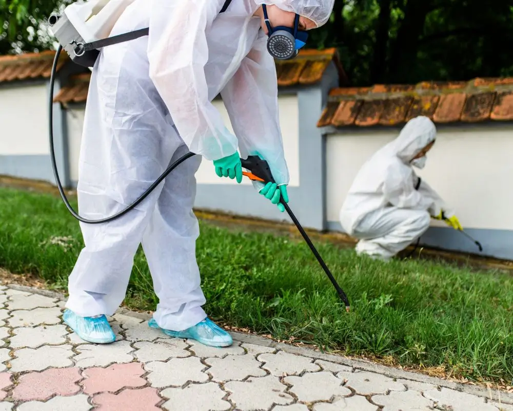 Fumigation Services Expert