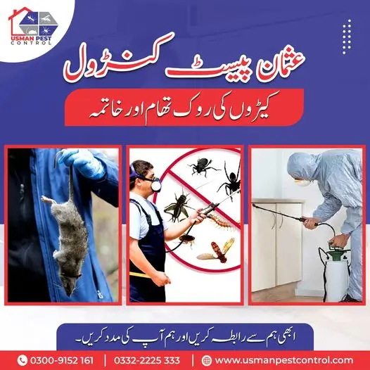 Pest Control Services