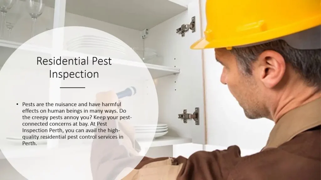 Pest Inspection