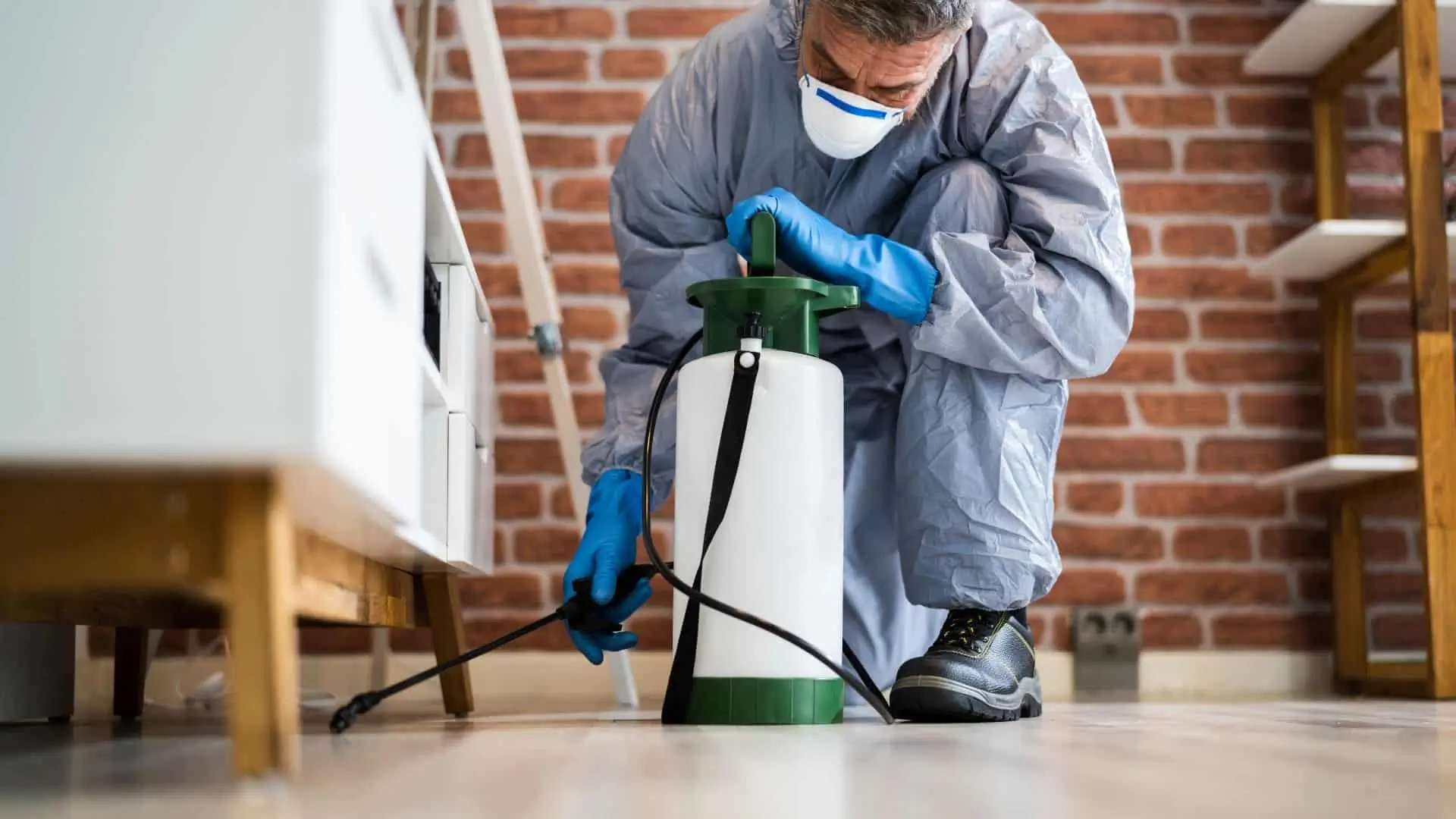 Pest & Termite Control Services Usman Pest Control Lahore