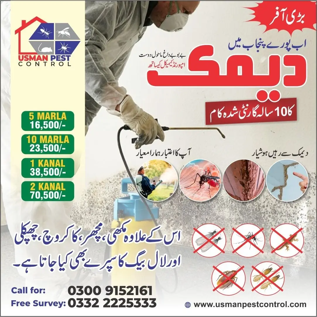 Termite Treatment Prices