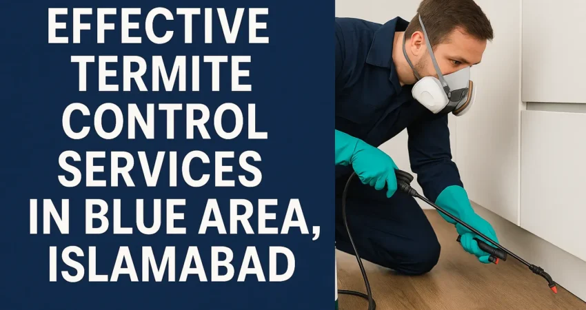Effective termite control services in Blue Area, Islamabad by Usman Pest Control for long-lasting protection.