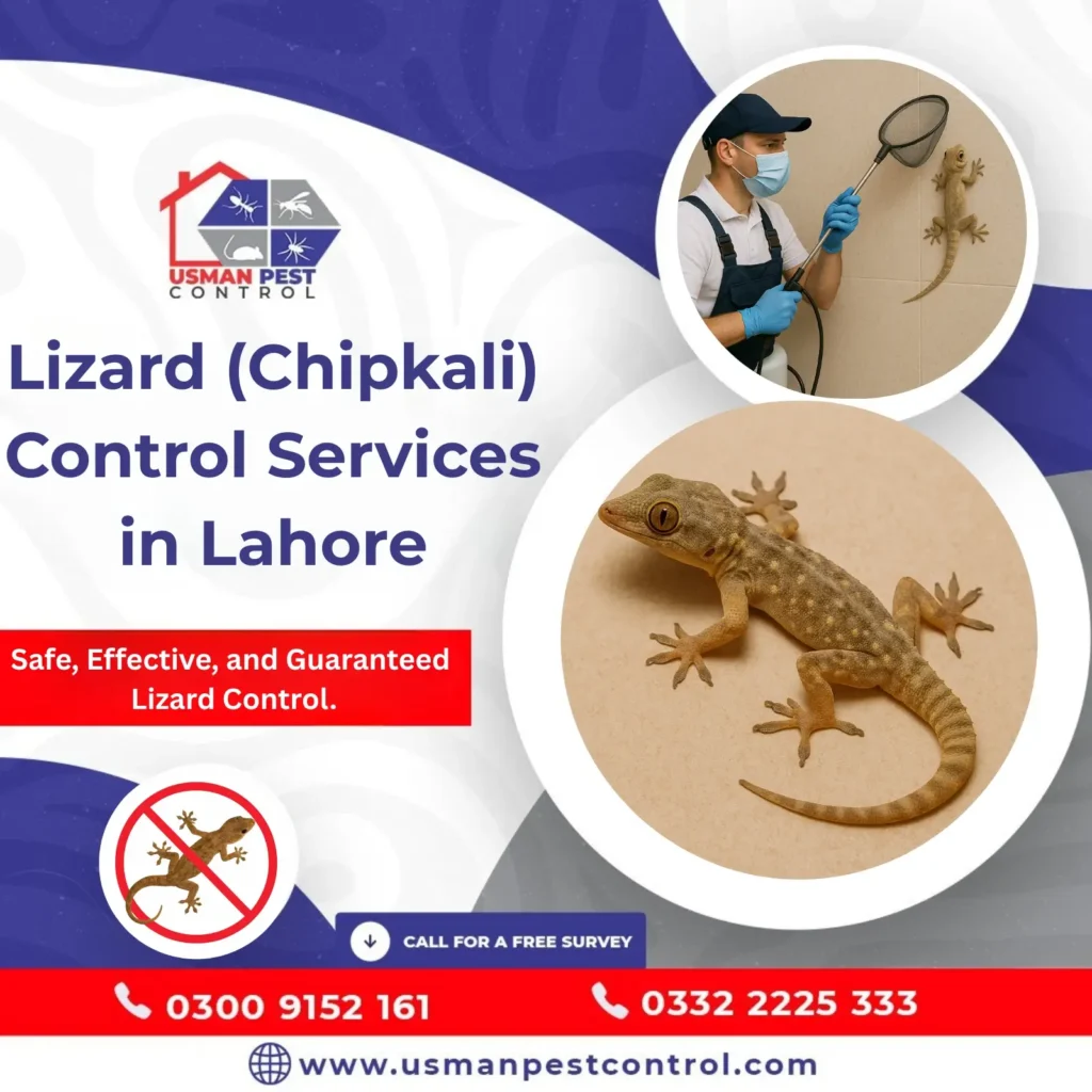 Lizard control near me