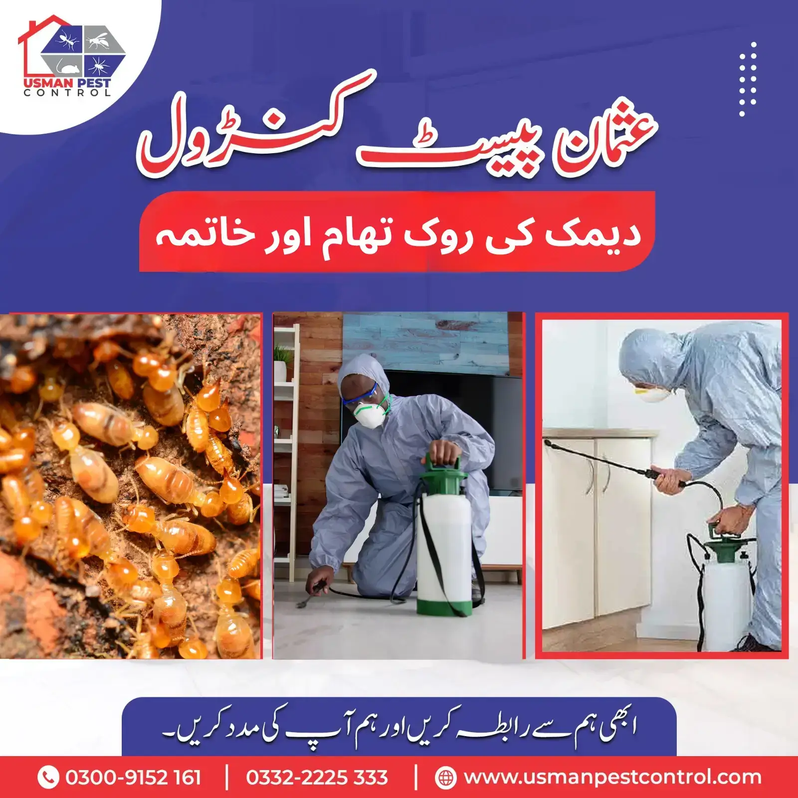 Termite Treatment Services in Gujranwala with Guaranteed Results