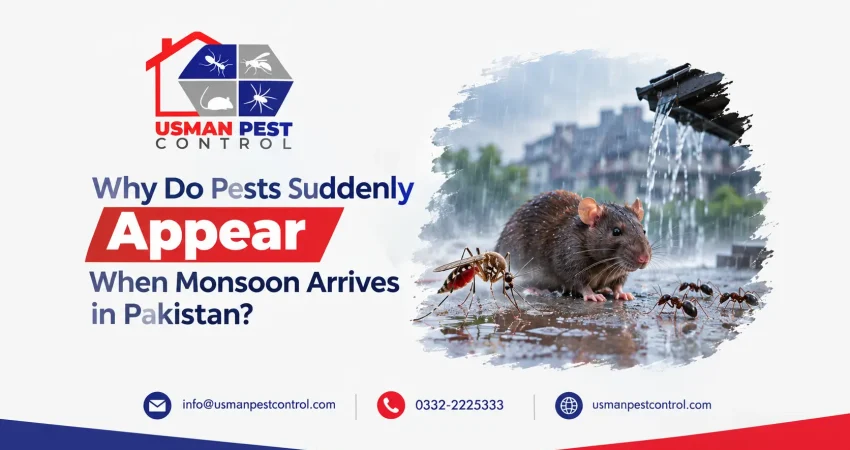 monsoon pest control Pakistan